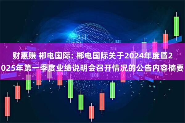 财惠赚 郴电国际: 郴电国际关于2024年度暨2025年第一季度业绩说明会召开情况的公告内容摘要