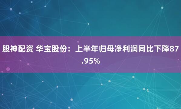 股神配资 华宝股份：上半年归母净利润同比下降87.95%