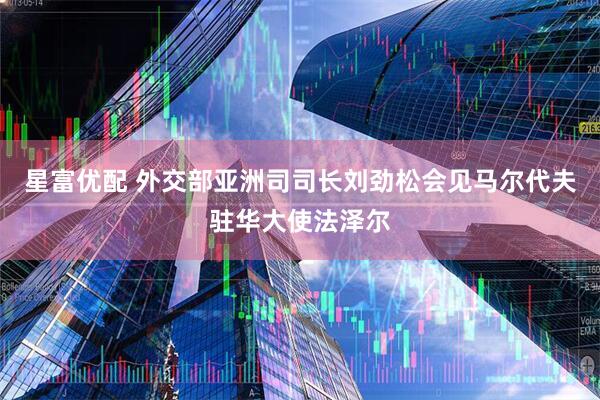 星富优配 外交部亚洲司司长刘劲松会见马尔代夫驻华大使法泽尔