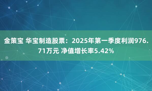 金策宝 华宝制造股票：2025年第一季度利润976.71万元 净值增长率5.42%