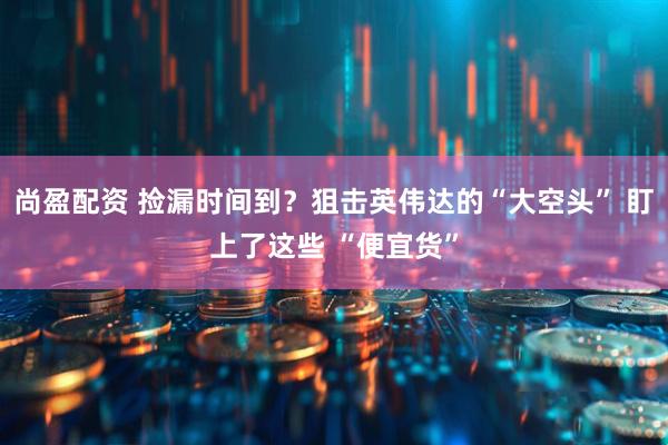 尚盈配资 捡漏时间到?狙击英伟达的“大空头” 盯上了这些 “便宜货”