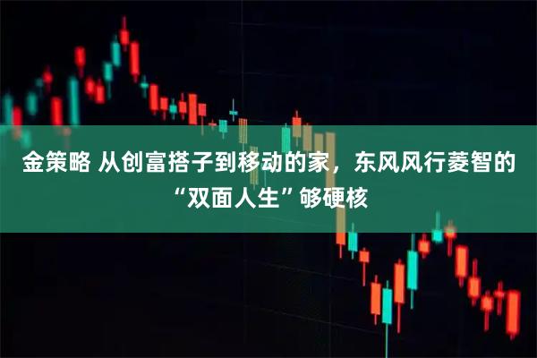 金策略 从创富搭子到移动的家,东风风行菱智的“双面人生”够硬核