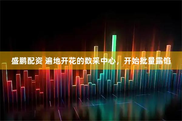 盛鹏配资 遍地开花的数采中心，开始批量露馅