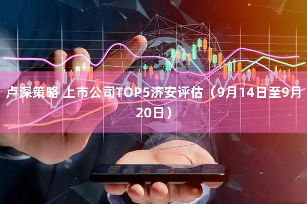 卢深策略 上市公司TOP5济安评估（9月14日至9月20日）
